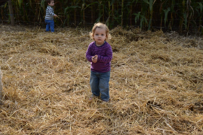 playing in the hay.JPG